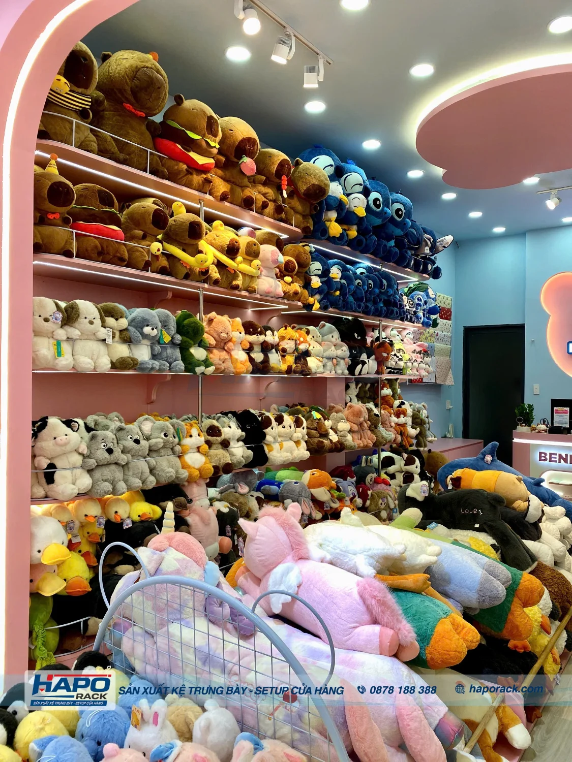 Khám Phá Không Gian Cửa Hàng Gấu Bông BENI BEAR Sau Khi Thi Công Hoàn Thiện
