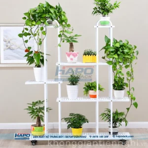 KỆ ĐỰNG CÂY - ảnh 9