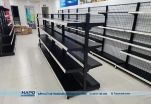 Thiết Kế Cửa Hàng Nhà Thuốc Tại Xã Cát Tiến TP. HCM